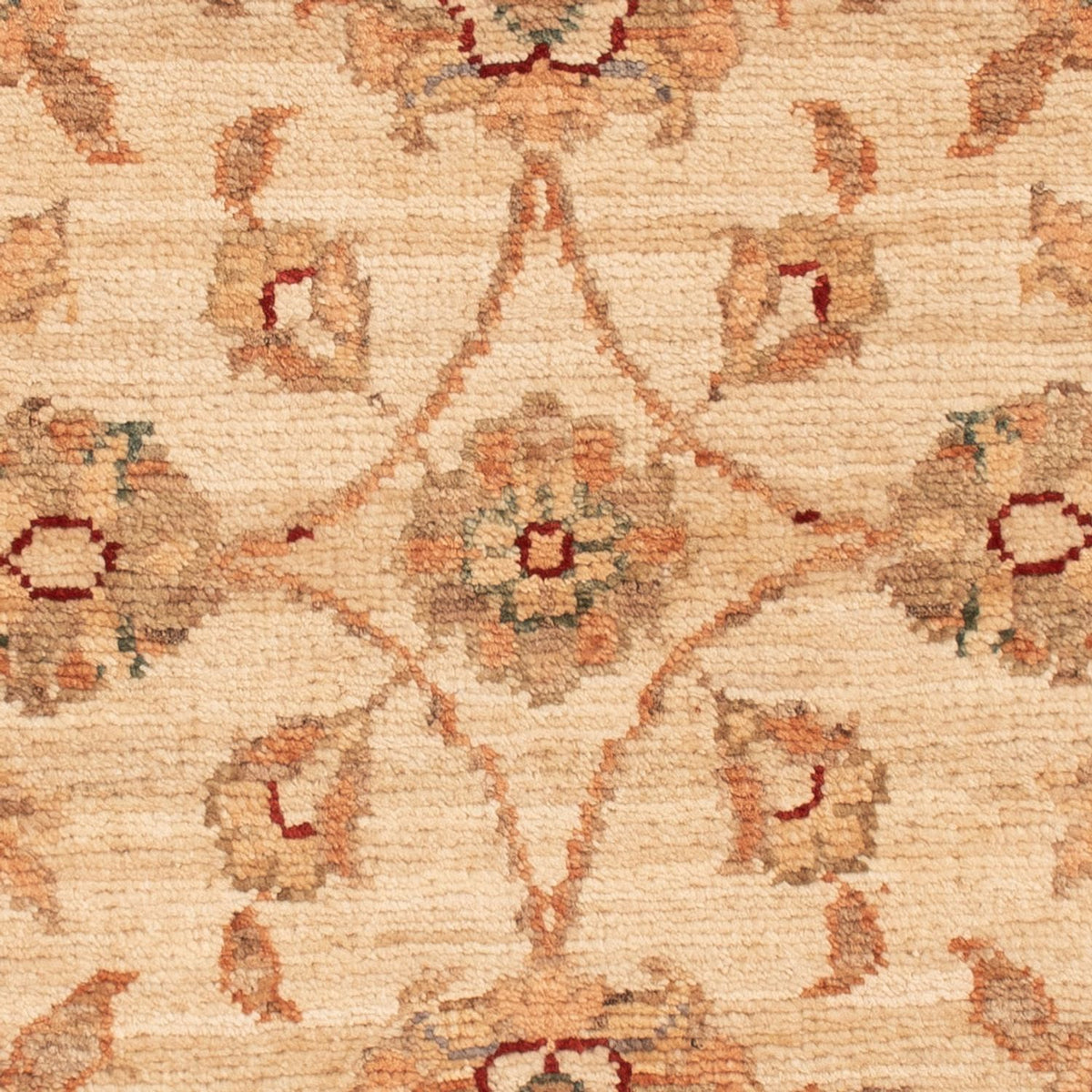 Tappeto Ziegler - 70 x 49 cm - beige