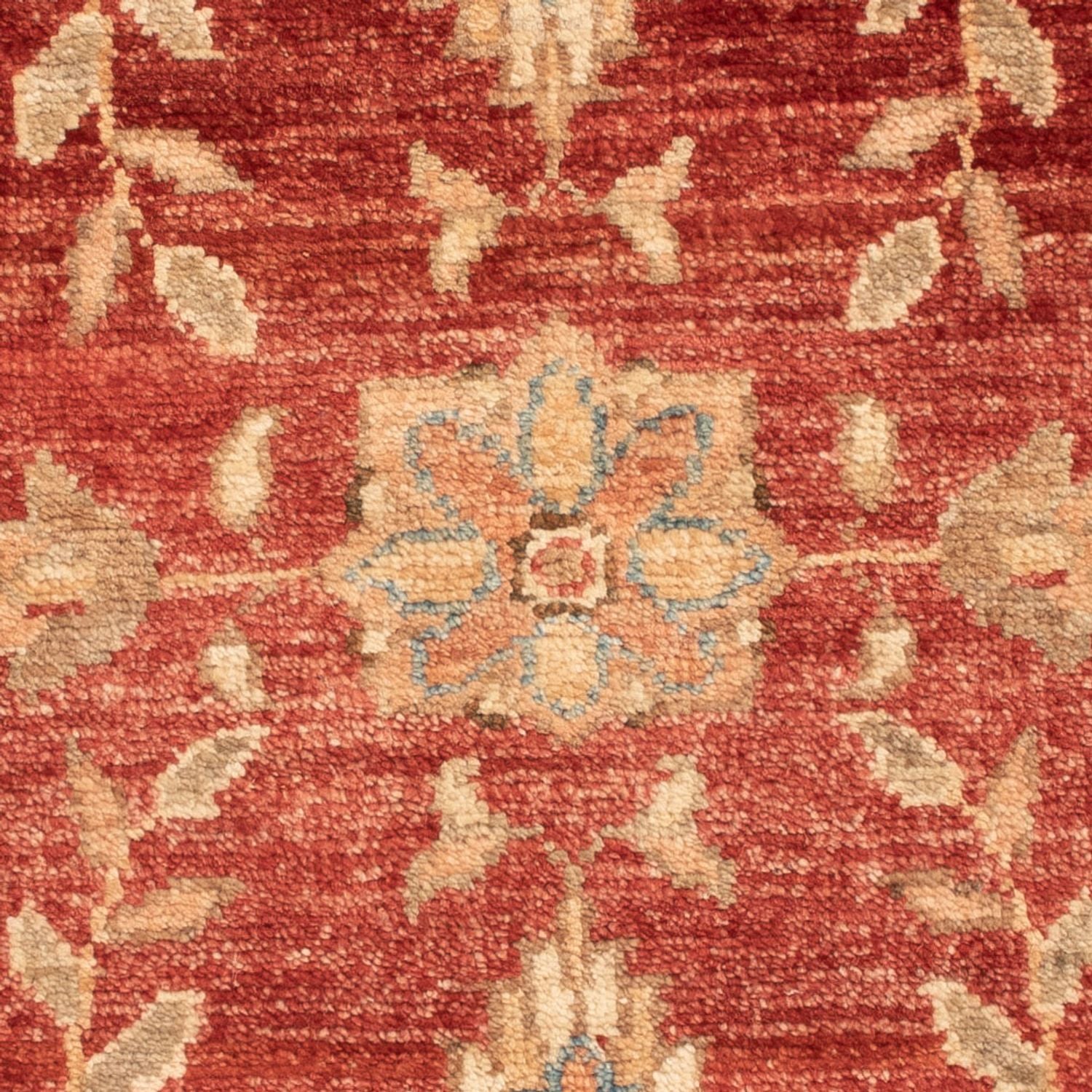 Tappeto Ziegler - 70 x 55 cm - rosso