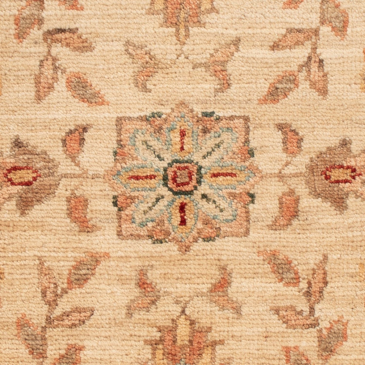 Tappeto Ziegler - 69 x 50 cm - beige