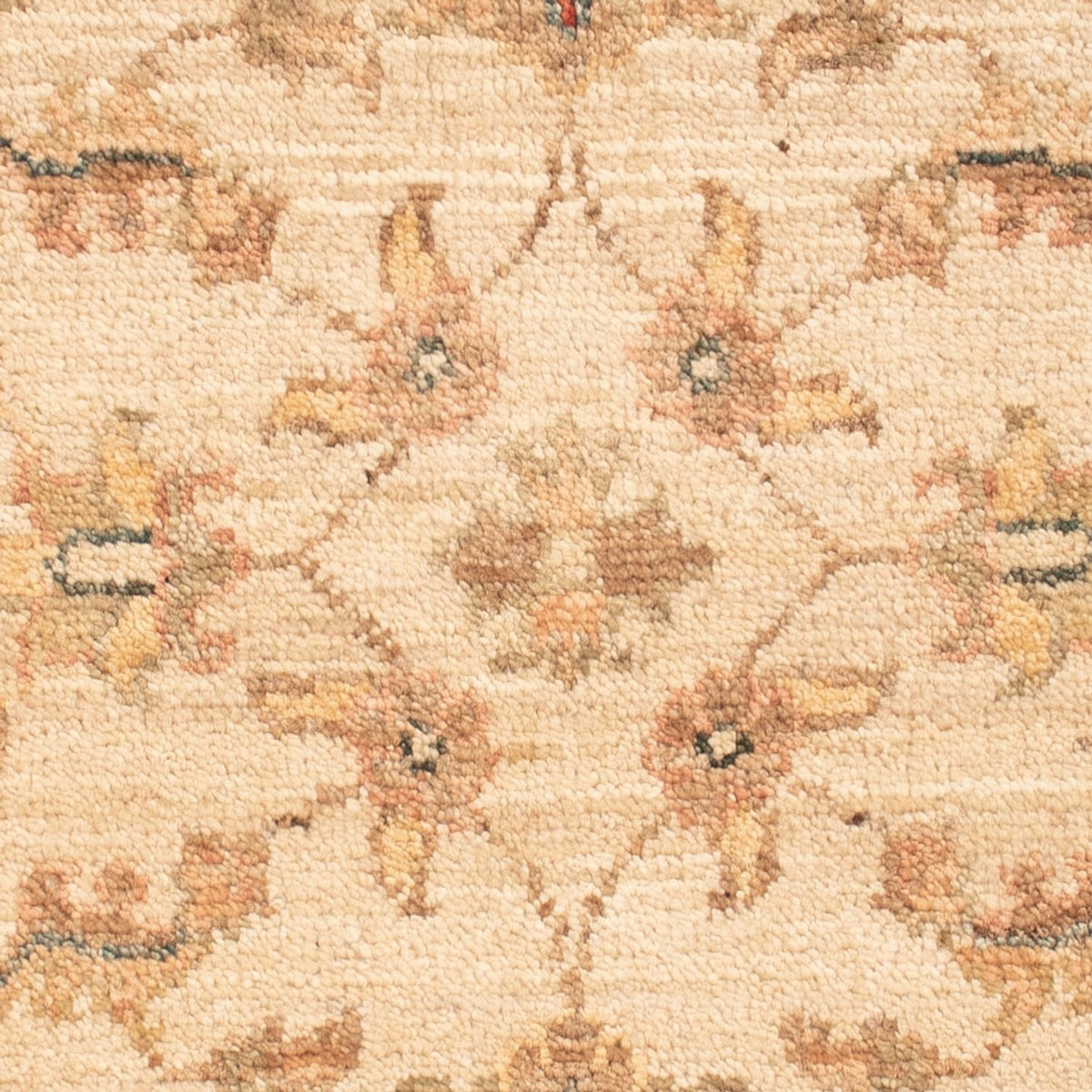 Tappeto Ziegler - 69 x 49 cm - beige