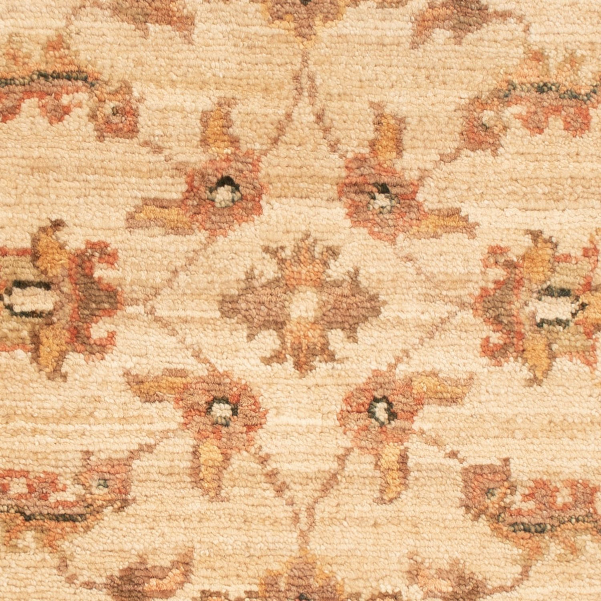 Tappeto Ziegler - 66 x 50 cm - beige