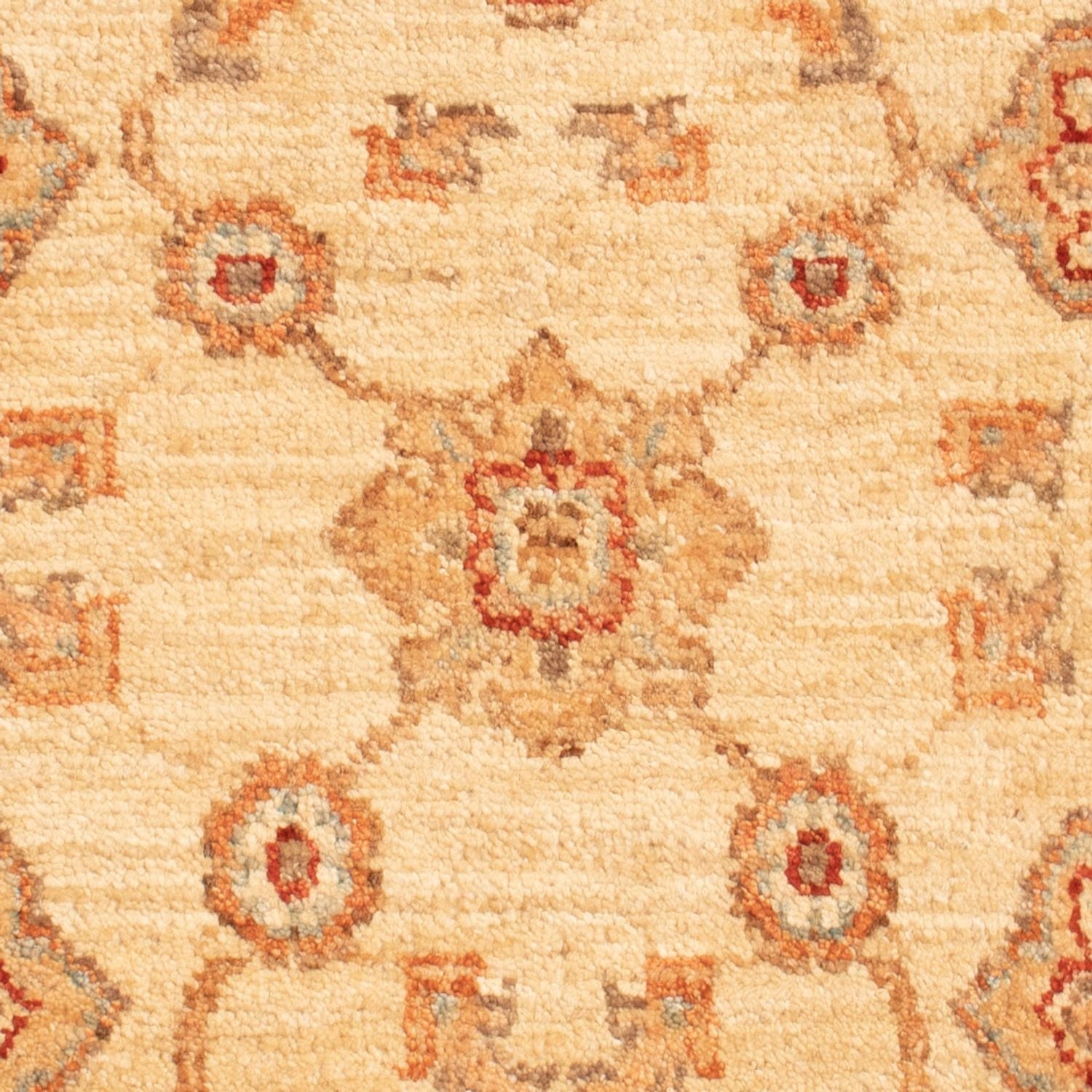 Tappeto Ziegler - 91 x 64 cm - beige