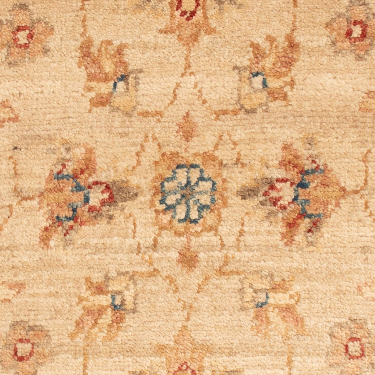 Tappeto Ziegler - 76 x 50 cm - beige