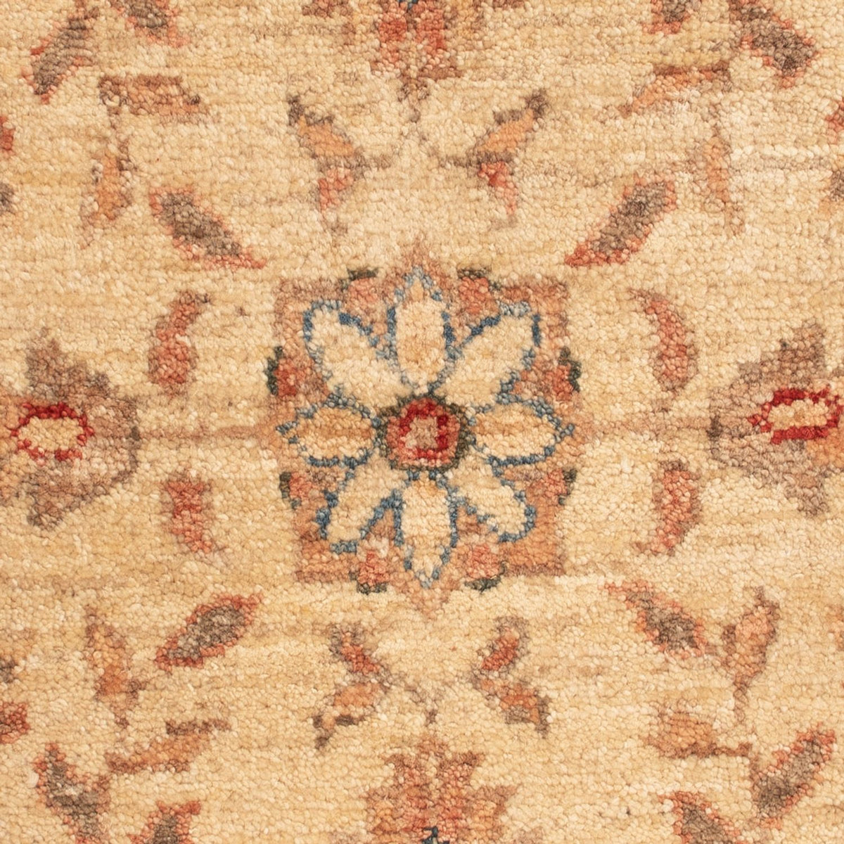 Tappeto Ziegler - 69 x 53 cm - beige