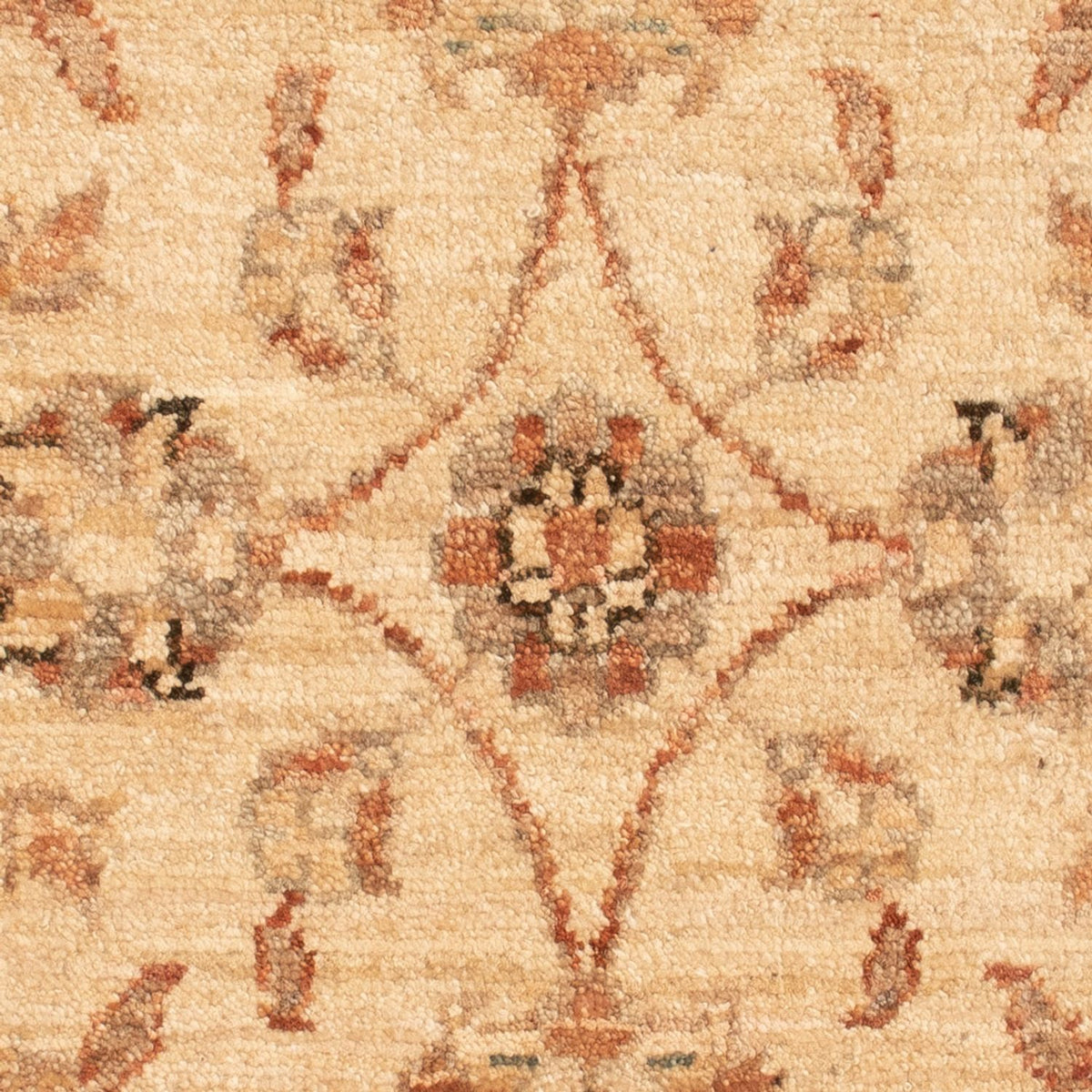 Tappeto Ziegler - 73 x 51 cm - beige