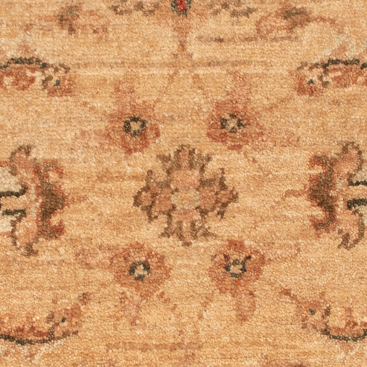 Tappeto Ziegler - 62 x 48 cm - beige scuro