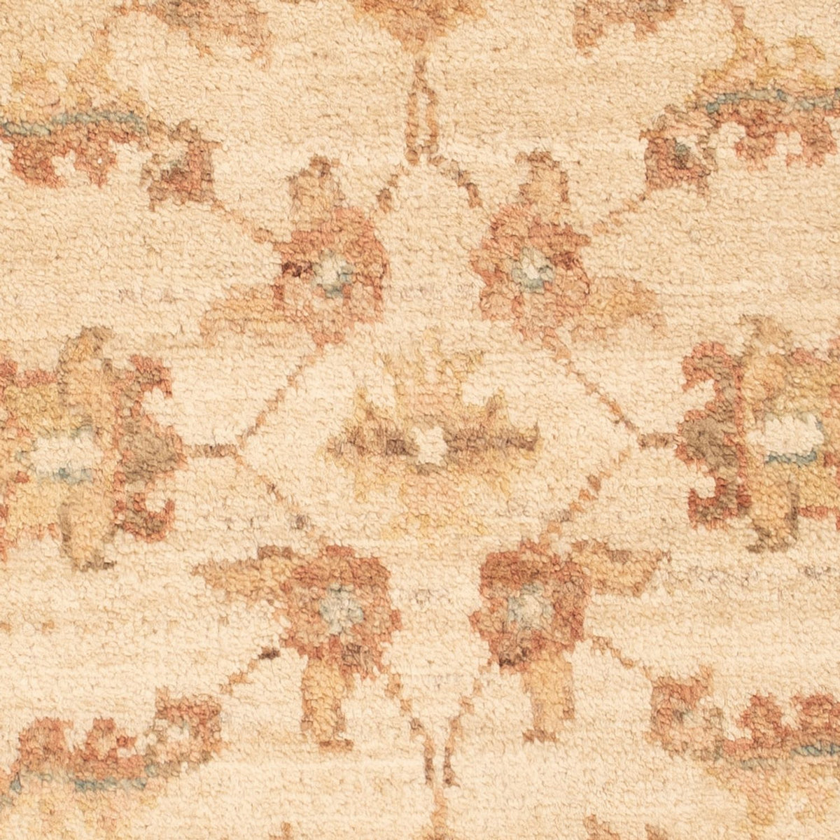 Tappeto Ziegler - 69 x 50 cm - beige chiaro