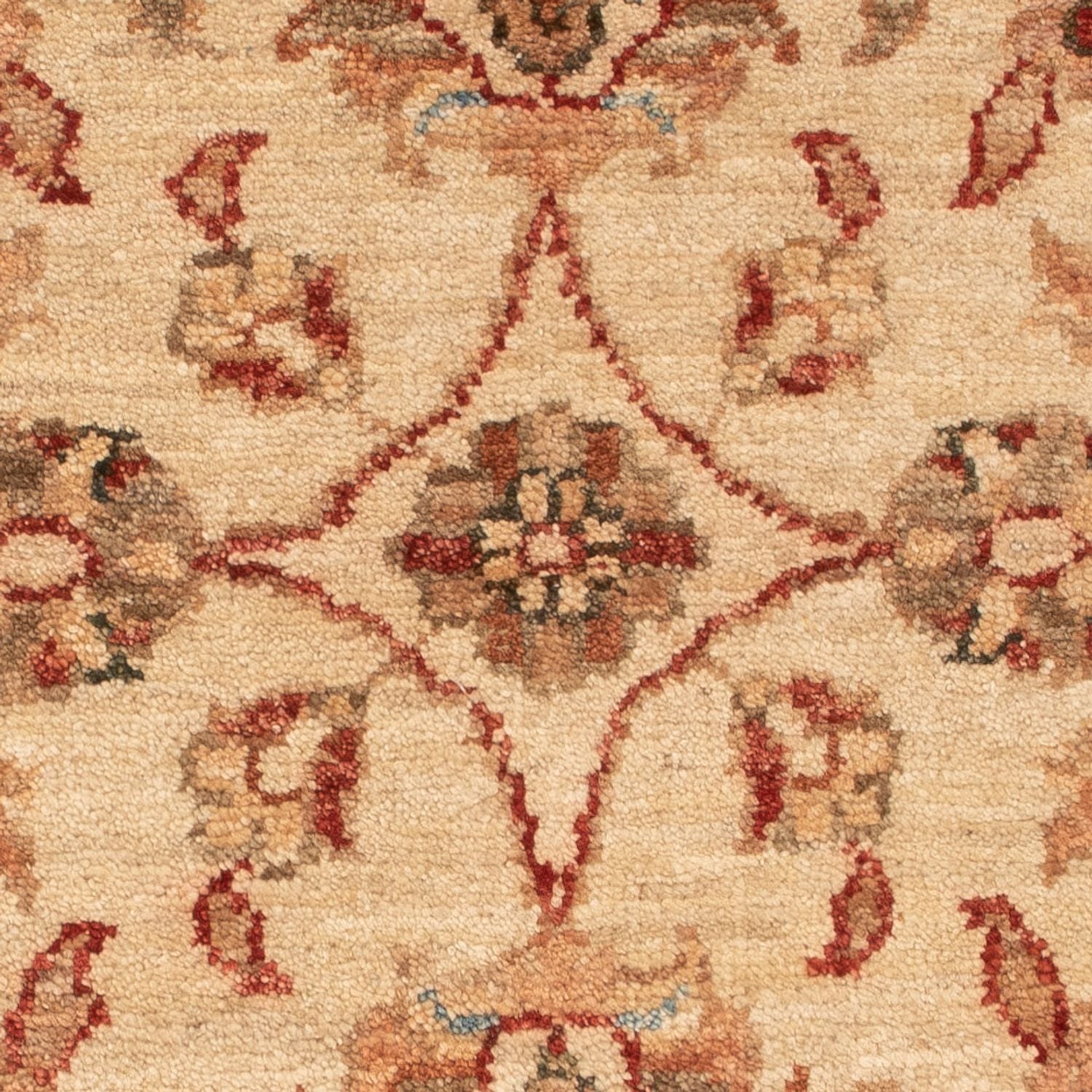 Tappeto Ziegler - 72 x 54 cm - beige