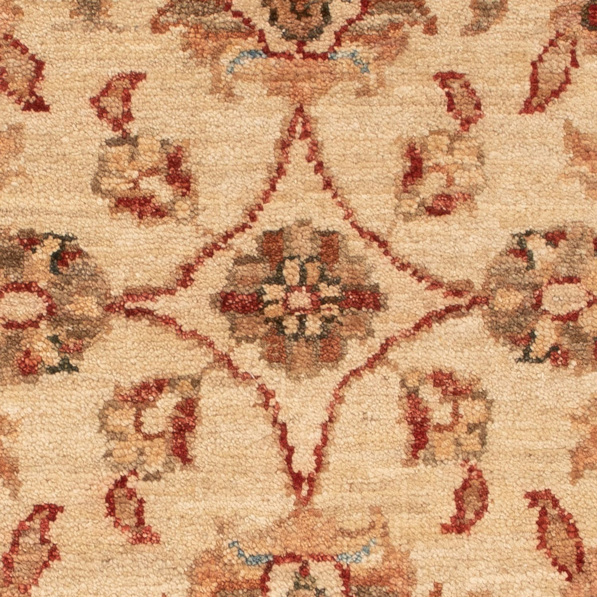 Tappeto Ziegler - 72 x 54 cm - beige
