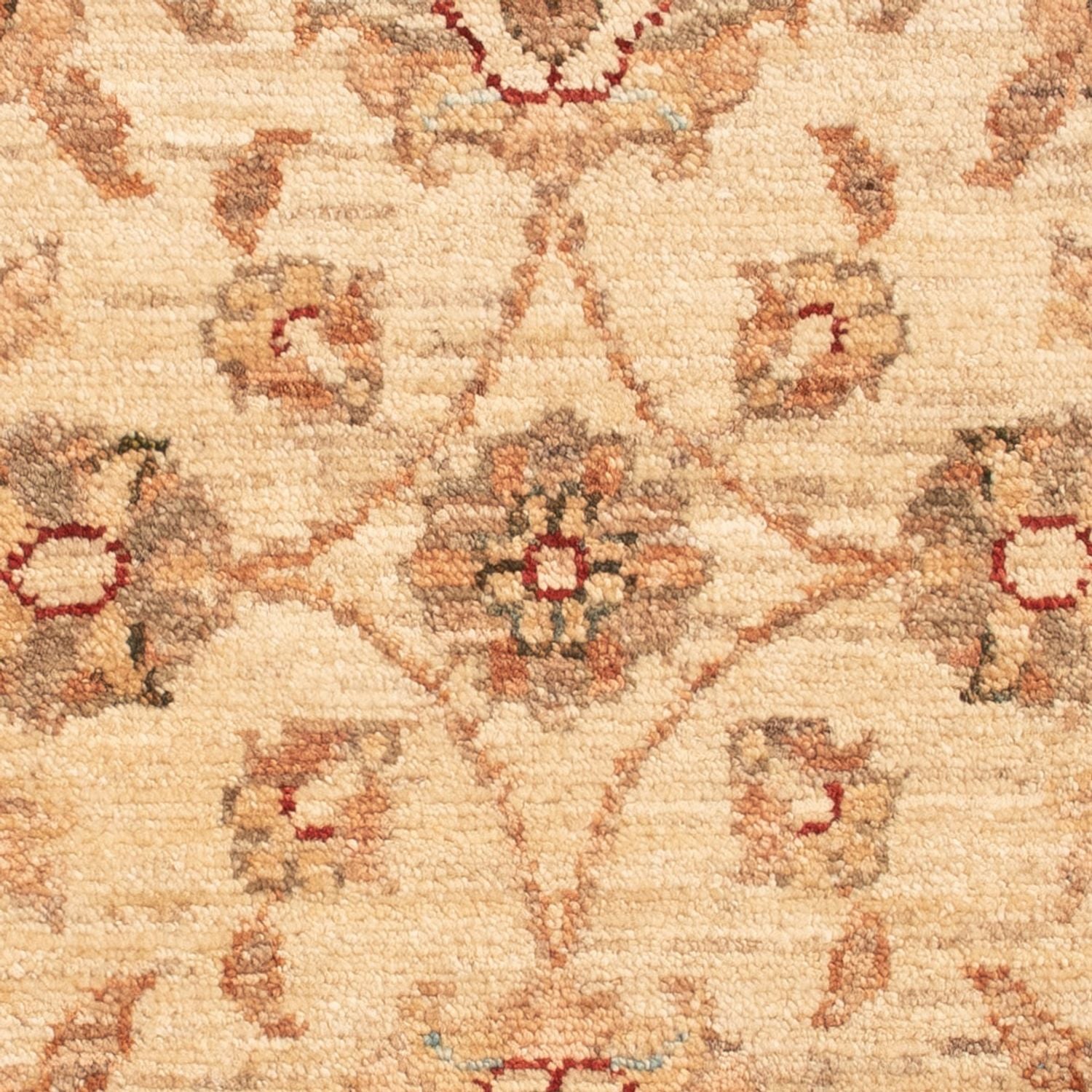 Tappeto Ziegler - 72 x 50 cm - beige