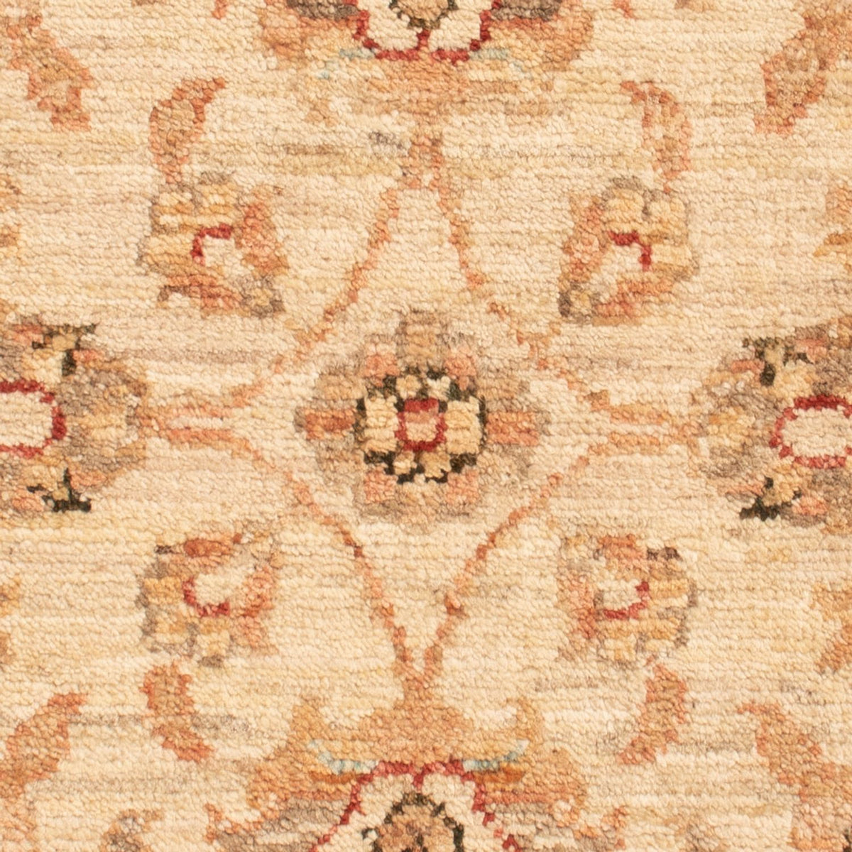Tappeto Ziegler - 71 x 50 cm - beige