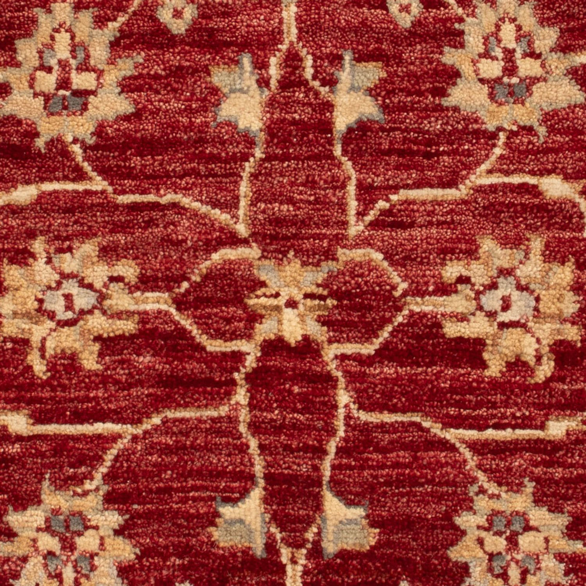 Tappeto Ziegler - 90 x 60 cm - rosso bordeaux