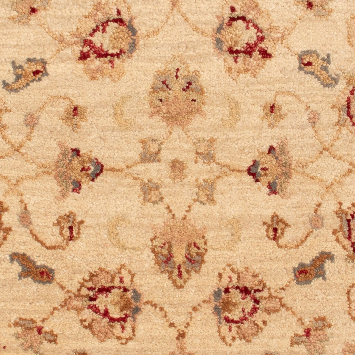Tappeto Ziegler - 90 x 60 cm - beige
