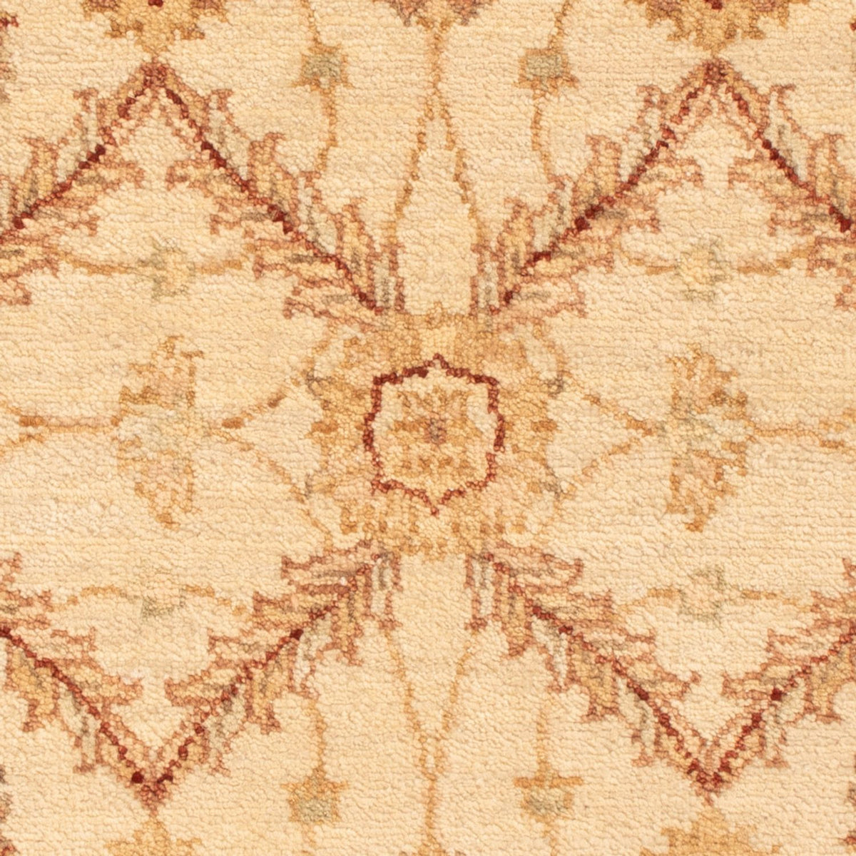 Tappeto Ziegler - 90 x 60 cm - beige