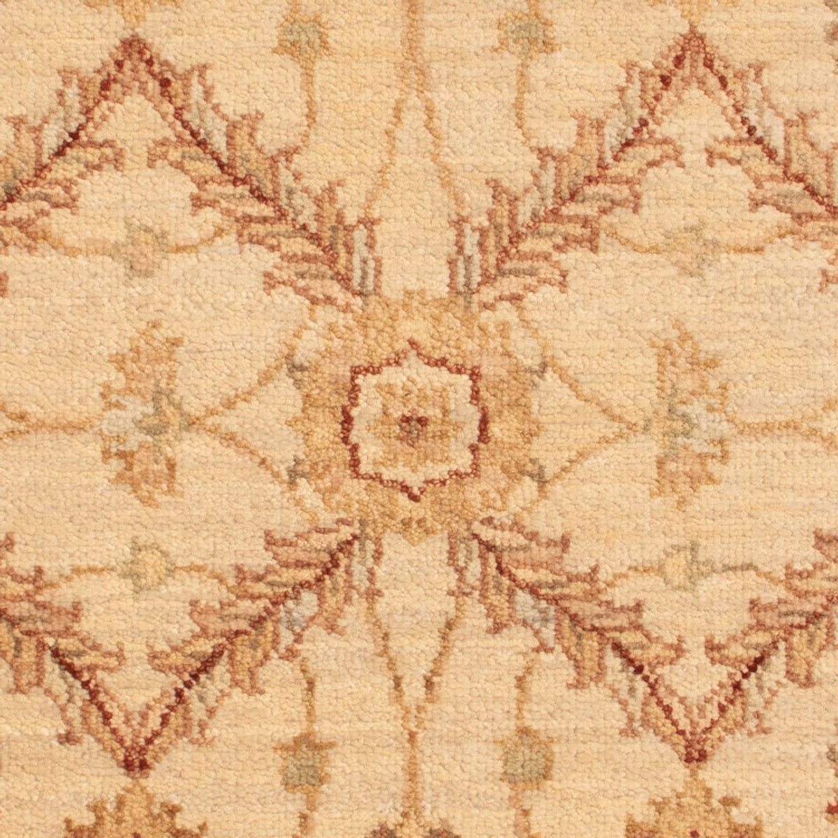 Tappeto Ziegler - 90 x 60 cm - beige