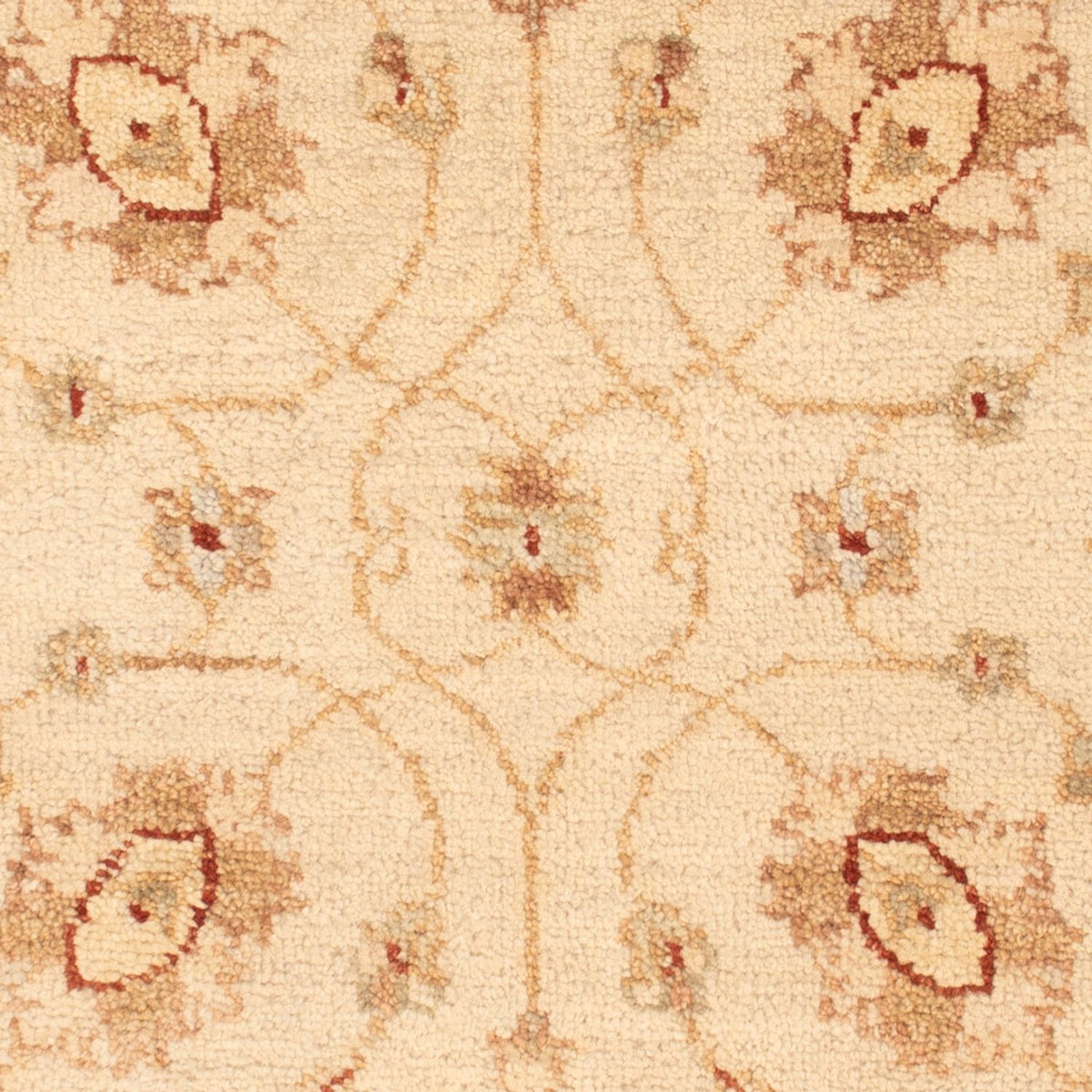 Tappeto Ziegler - 90 x 60 cm - beige