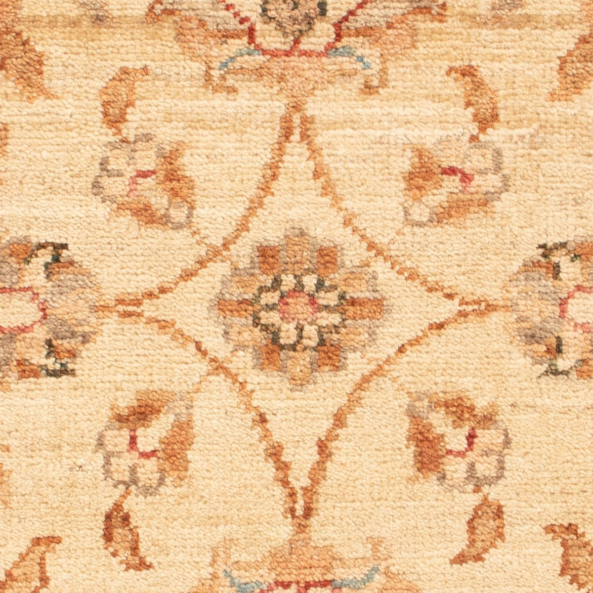 Tappeto Ziegler - 69 x 53 cm - beige