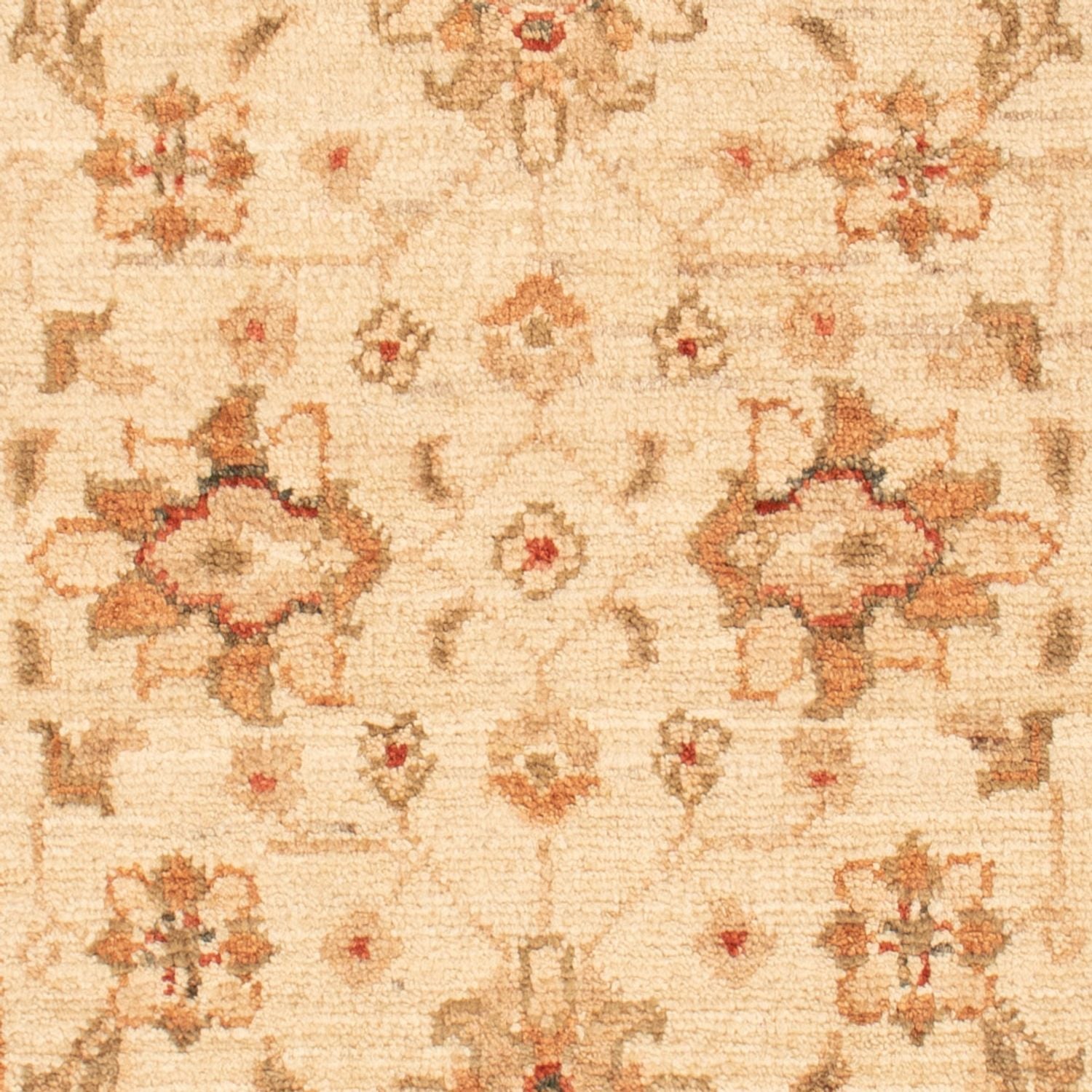 Tappeto Ziegler - 90 x 58 cm - beige