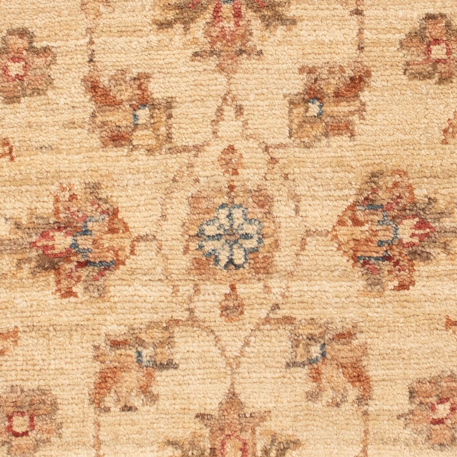 Tappeto Ziegler - 72 x 51 cm - beige