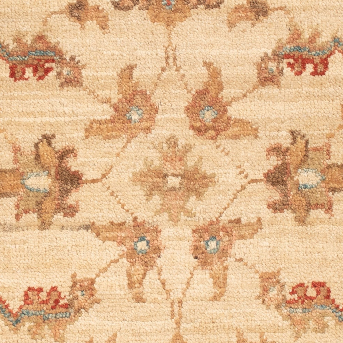 Tappeto Ziegler - 66 x 50 cm - beige