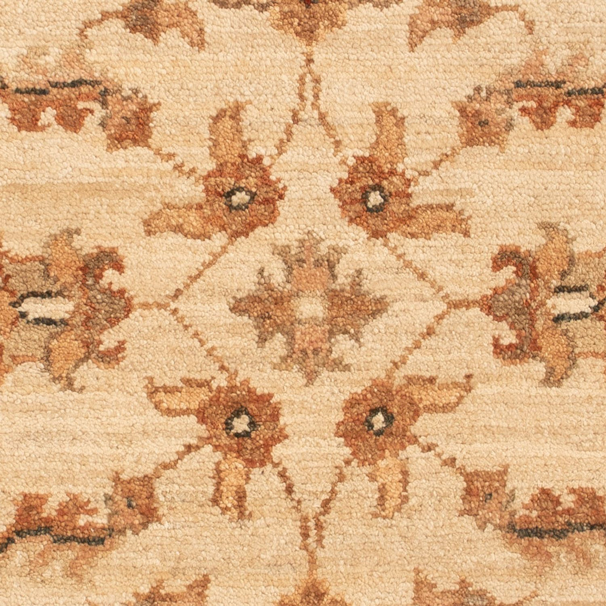 Tappeto Ziegler - 70 x 52 cm - beige