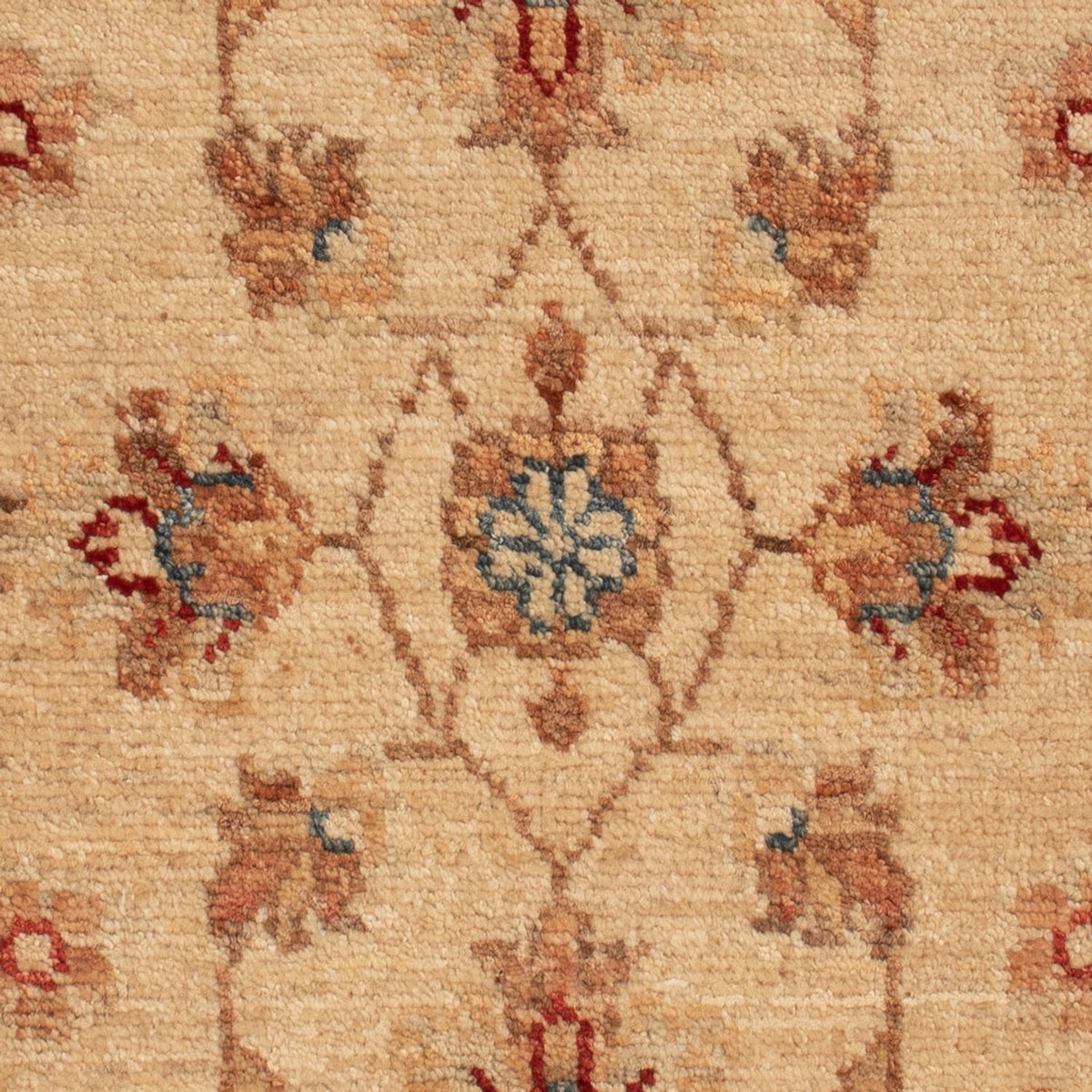 Tappeto Ziegler - 70 x 51 cm - beige