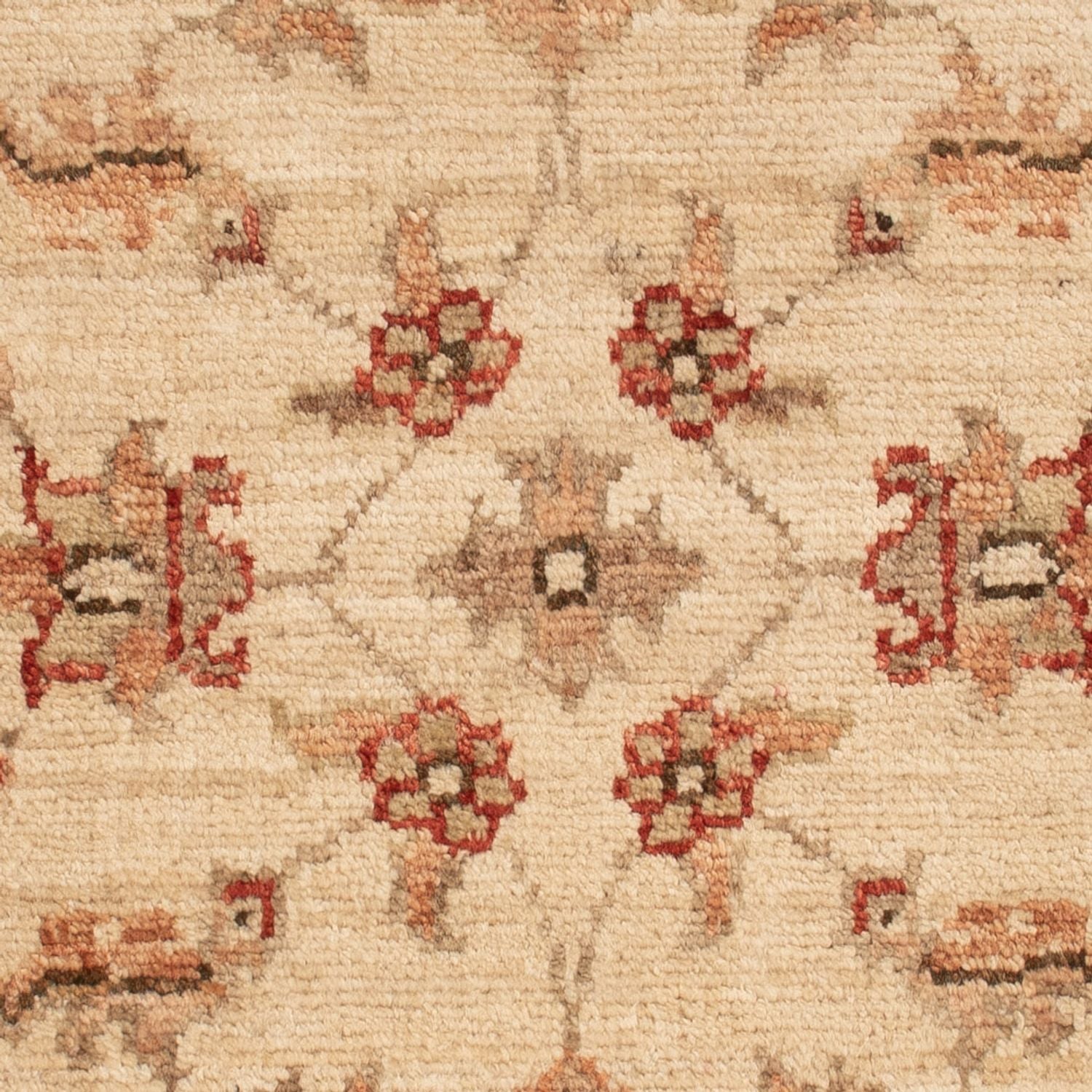 Tappeto Ziegler - 70 x 48 cm - beige