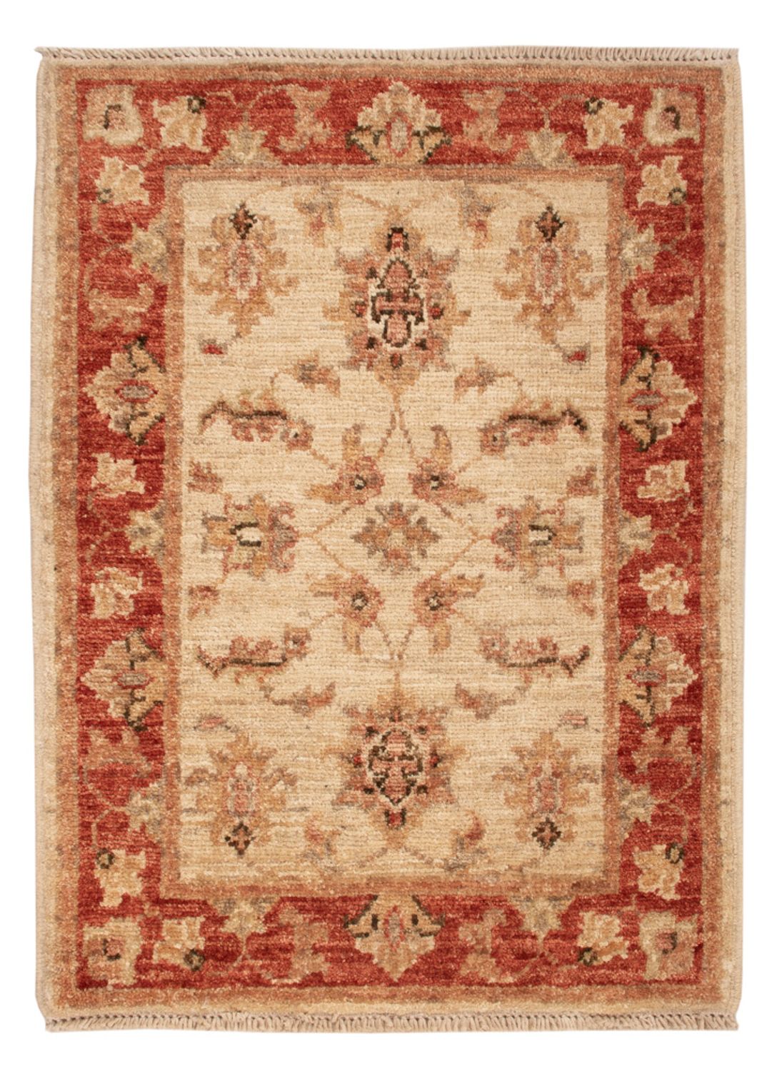 Tappeto Ziegler - 70 x 50 cm - beige