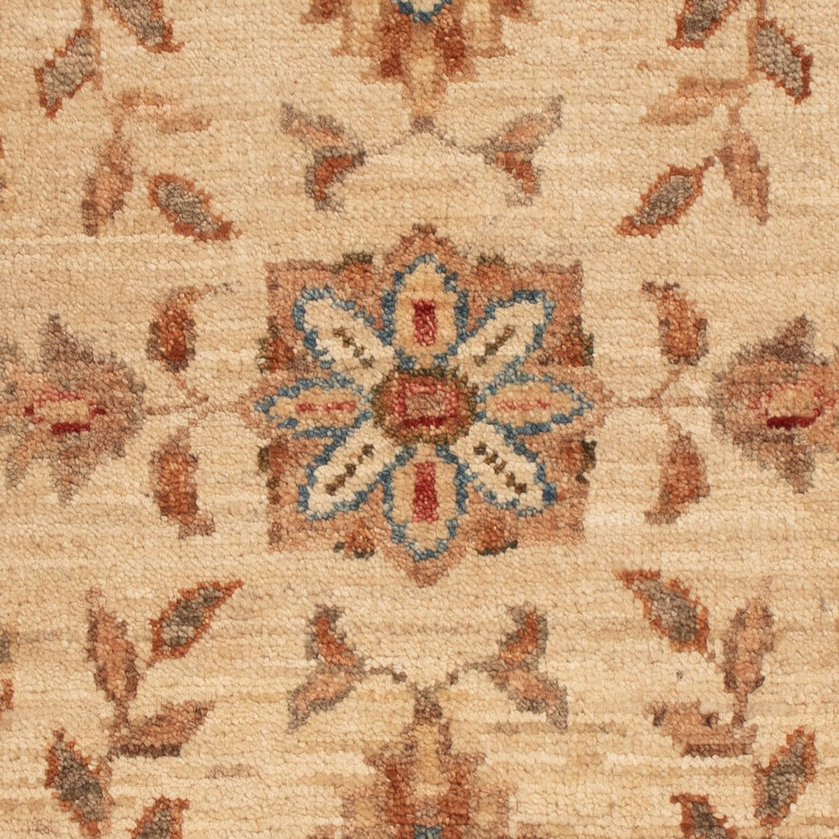 Tappeto Ziegler - 71 x 51 cm - beige