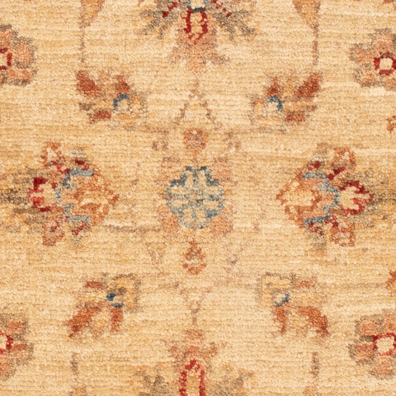 Tappeto Ziegler - 65 x 48 cm - beige