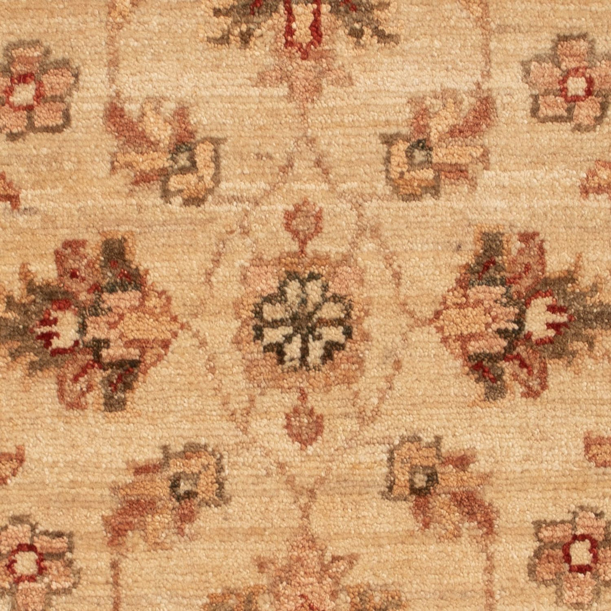 Tappeto Ziegler - 70 x 50 cm - beige