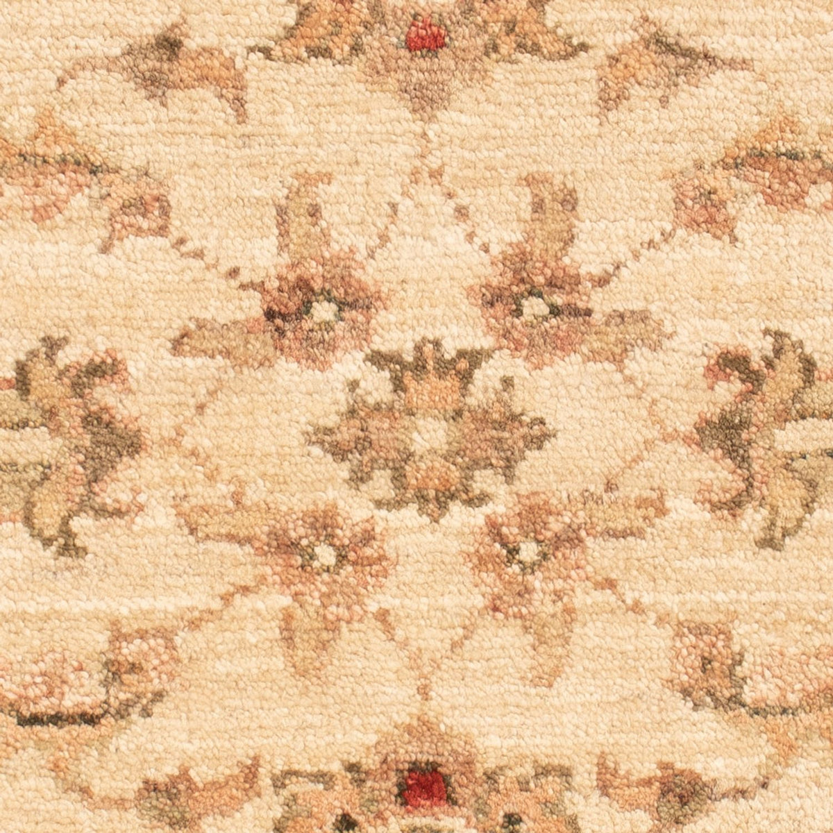 Tappeto Ziegler - 67 x 52 cm - beige