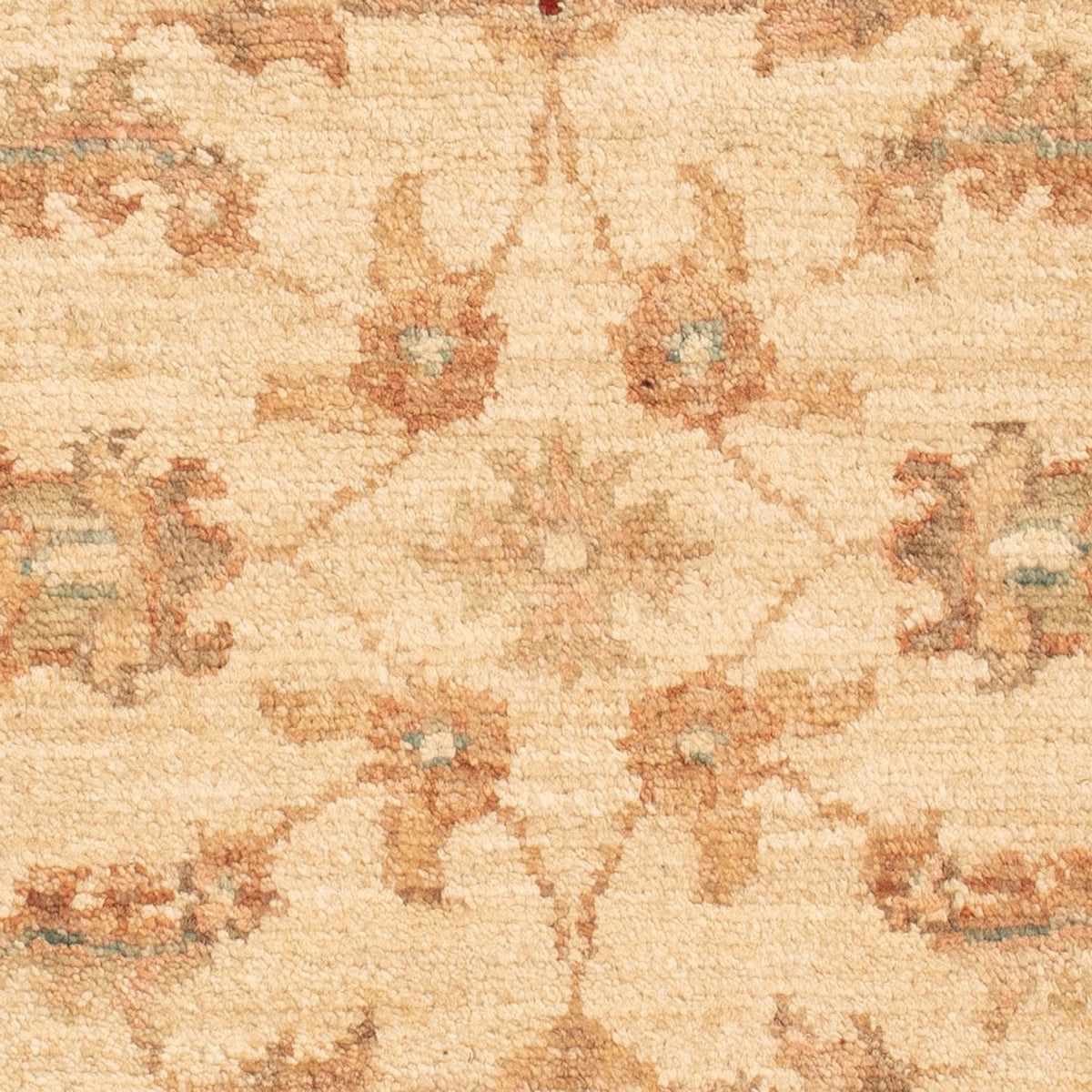 Tappeto Ziegler - 70 x 50 cm - beige