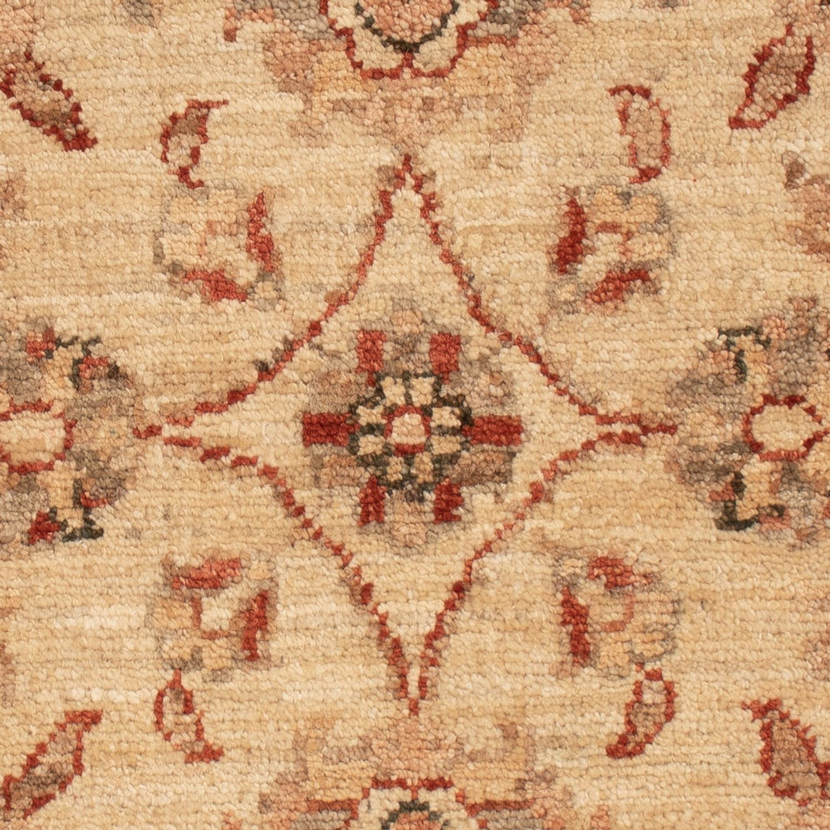 Tappeto Ziegler - 70 x 50 cm - beige