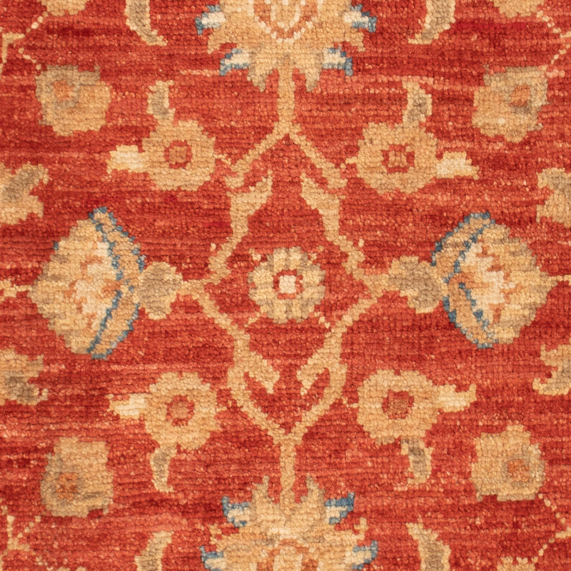 Tappeto Ziegler - 91 x 61 cm - rosso