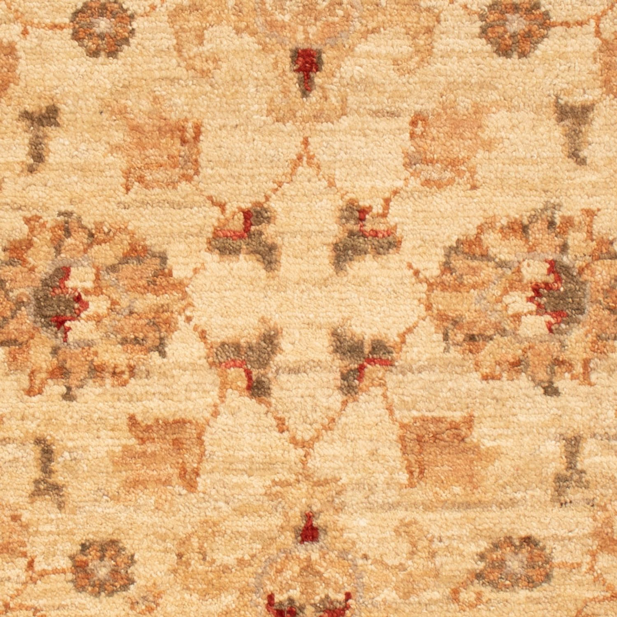 Tappeto Ziegler - 90 x 61 cm - beige