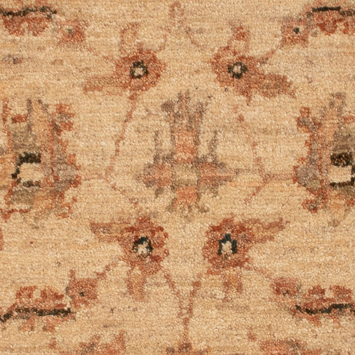 Tappeto Ziegler - 73 x 53 cm - beige