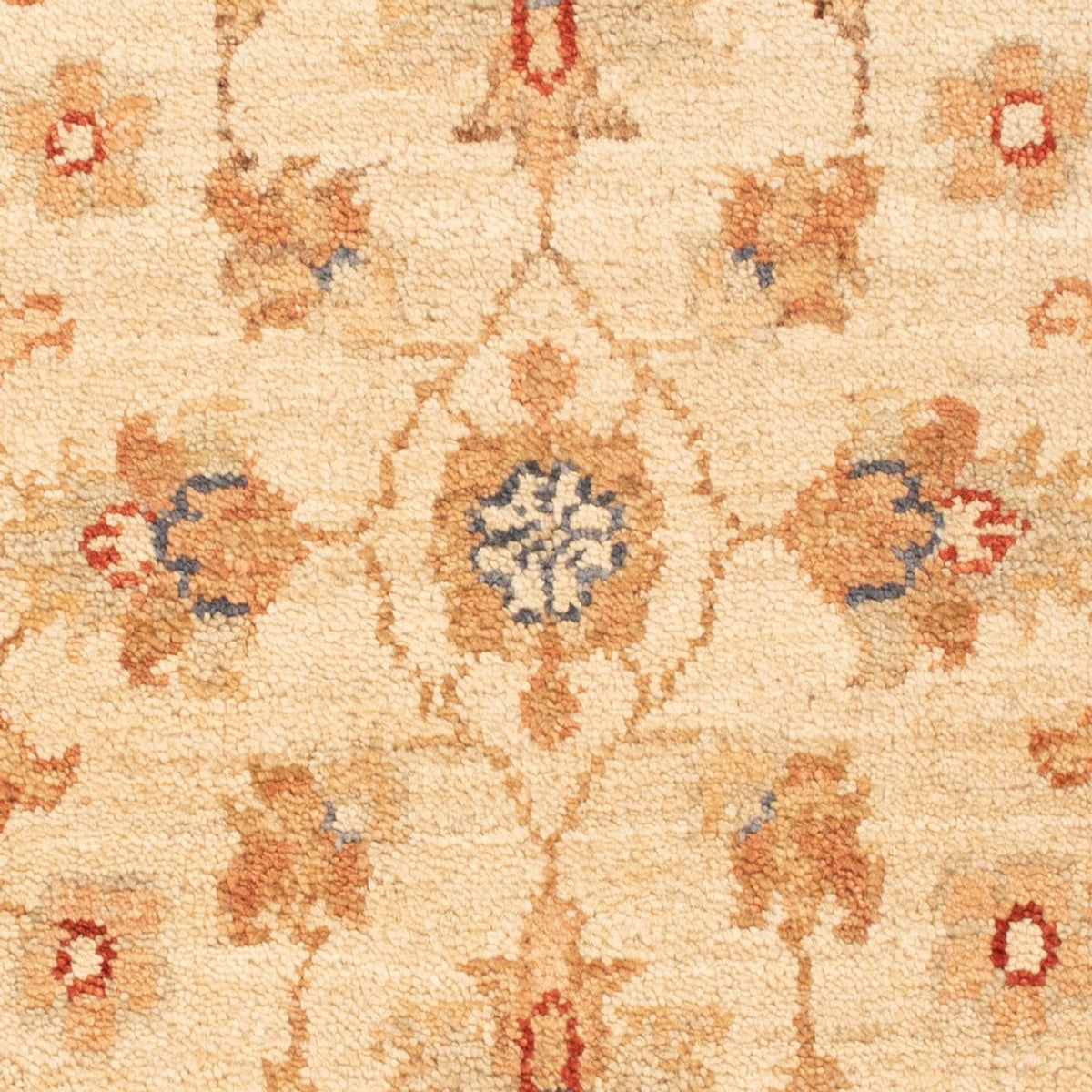 Tappeto Ziegler - 78 x 53 cm - beige