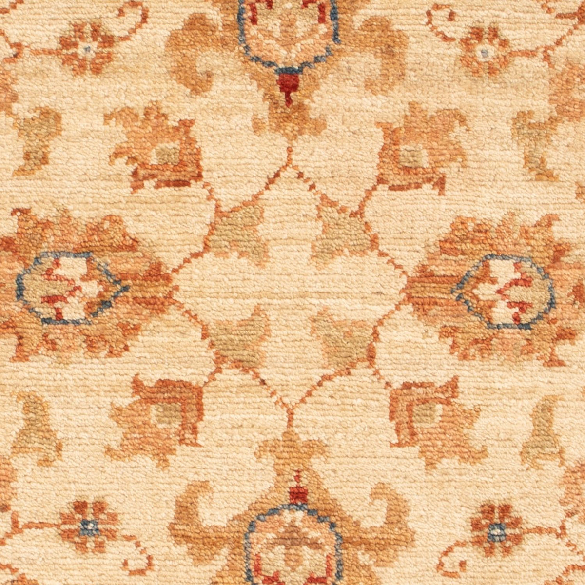 Tappeto Ziegler - 86 x 62 cm - beige