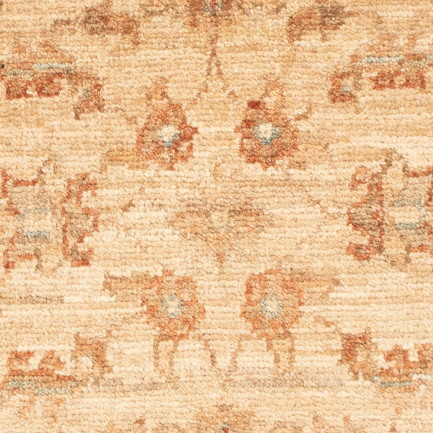 Tappeto Ziegler - 67 x 48 cm - beige chiaro