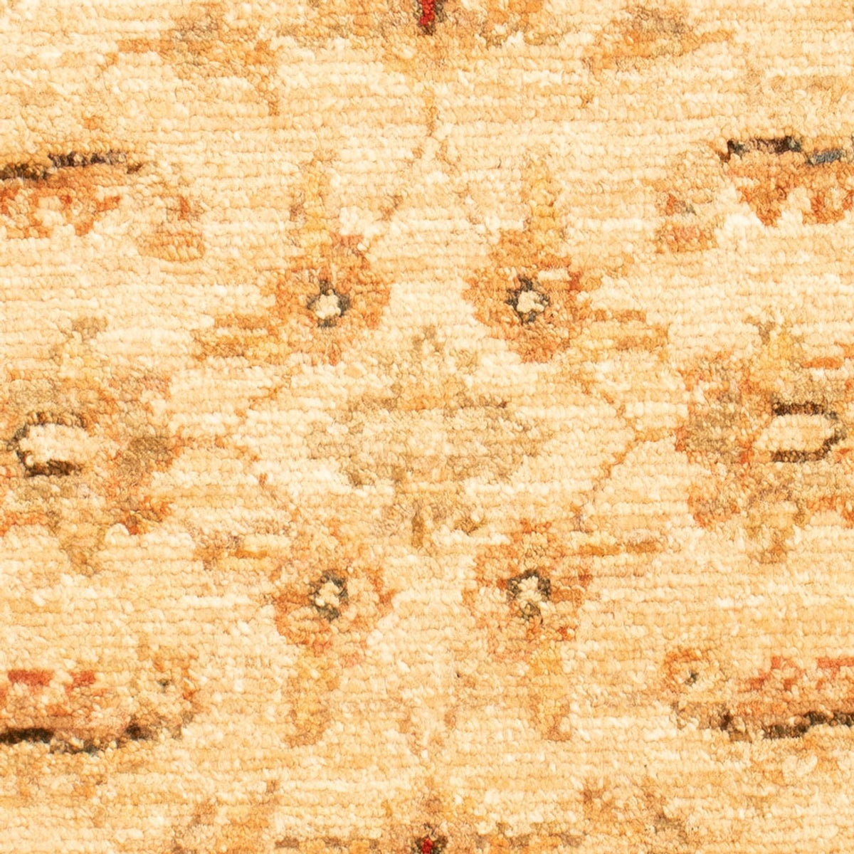 Tappeto Ziegler - 70 x 50 cm - beige