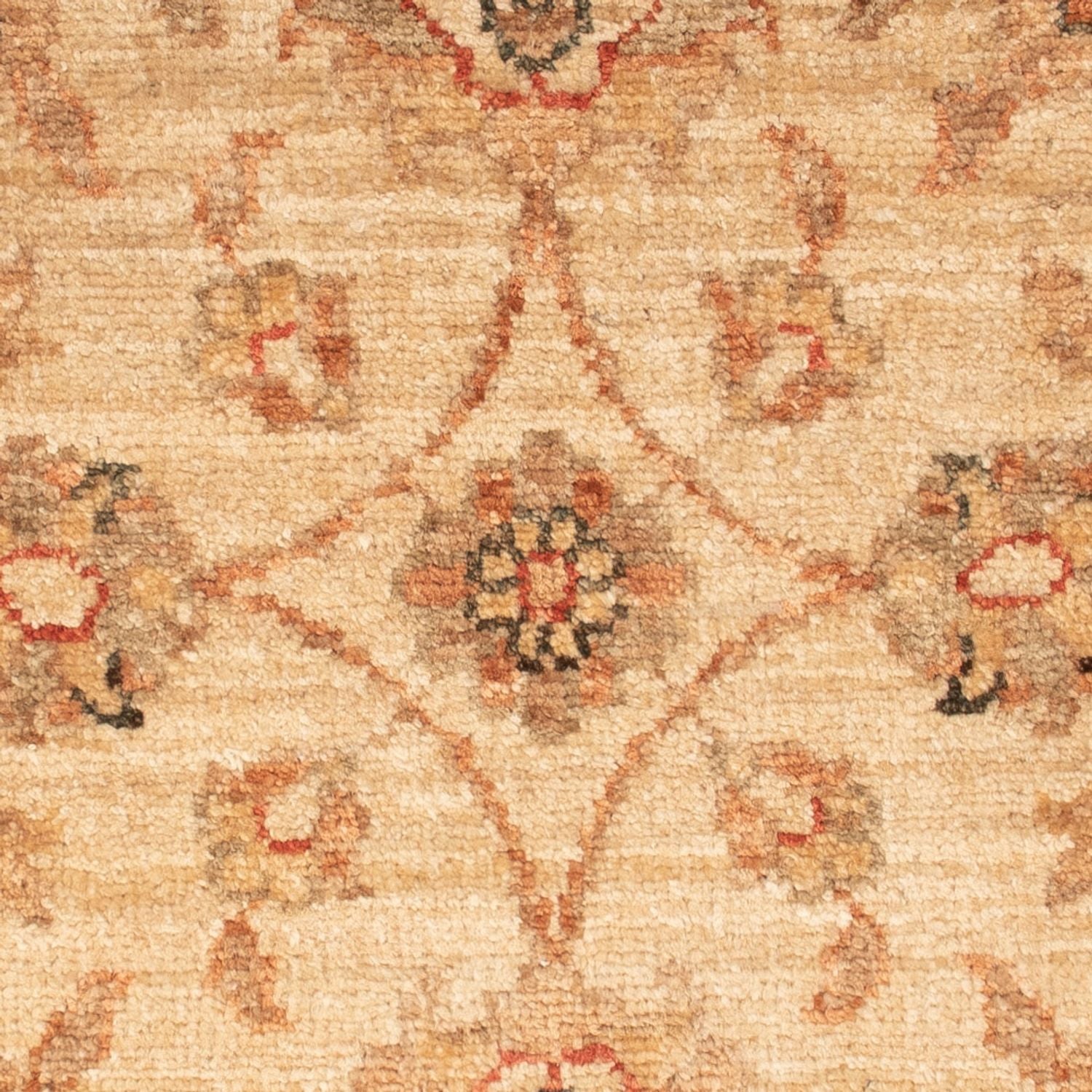 Tappeto Ziegler - 68 x 48 cm - beige