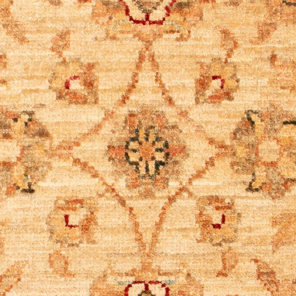 Tappeto Ziegler - 71 x 51 cm - beige