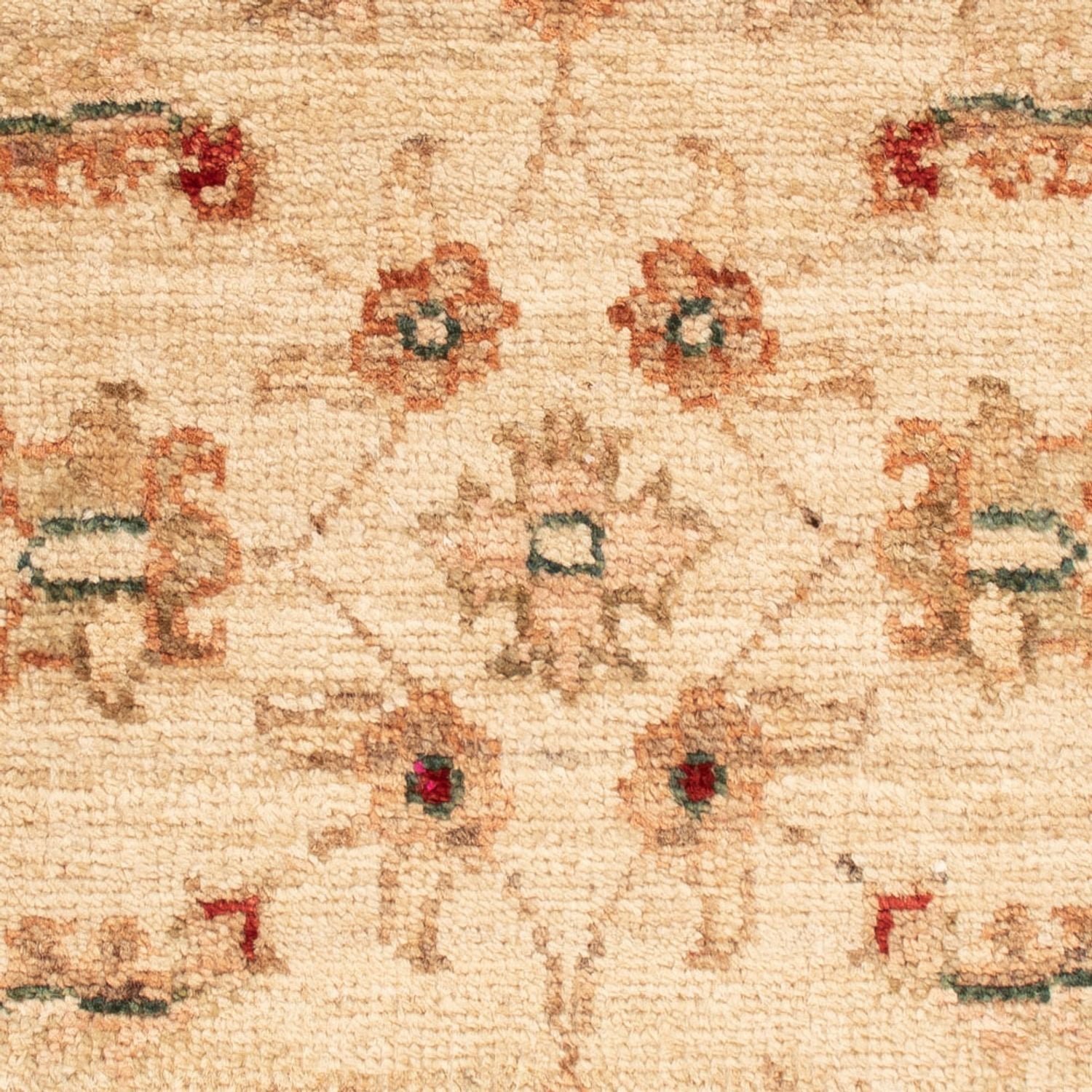 Tappeto Ziegler - 67 x 50 cm - beige