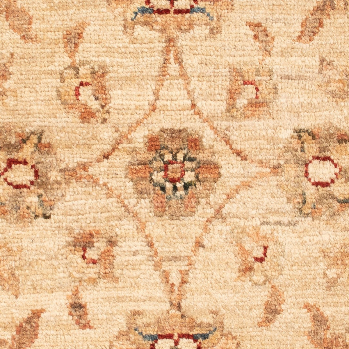 Tappeto Ziegler - 75 x 50 cm - beige
