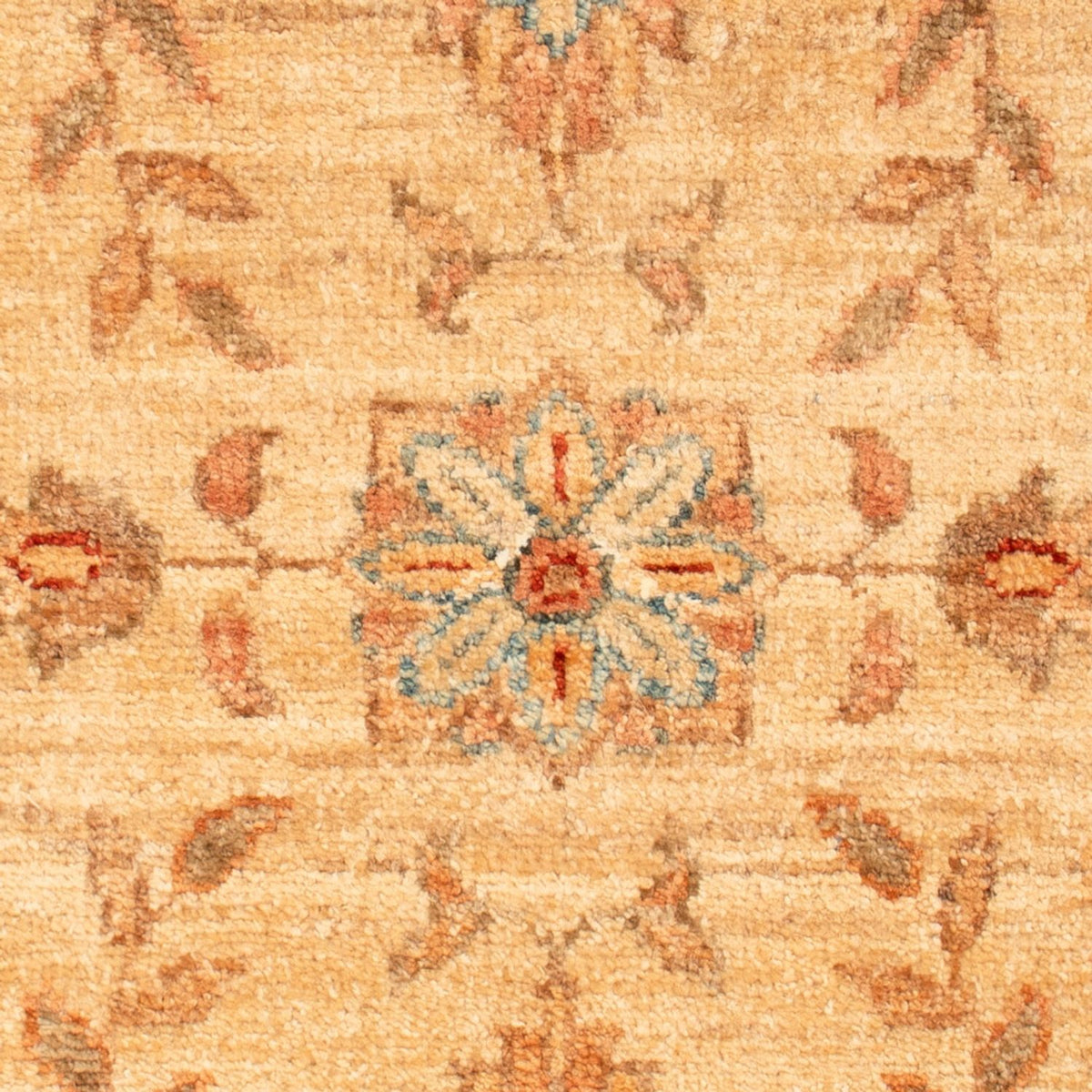 Tappeto Ziegler - 70 x 50 cm - beige
