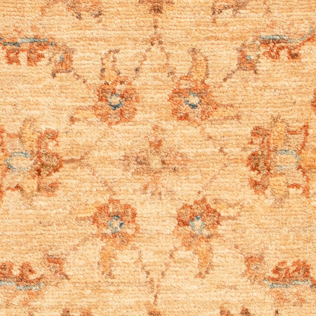 Tappeto Ziegler - 73 x 52 cm - beige