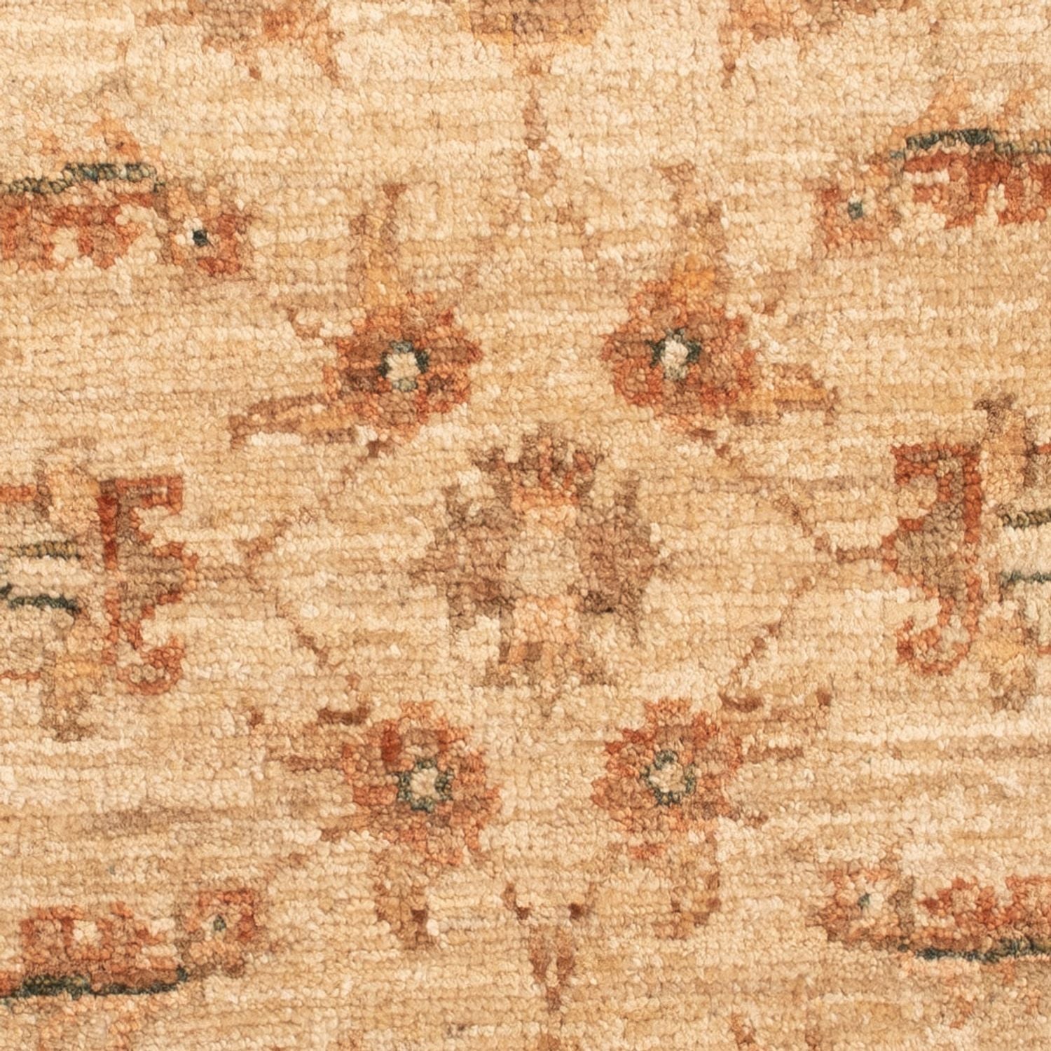Tappeto Ziegler - 66 x 51 cm - beige