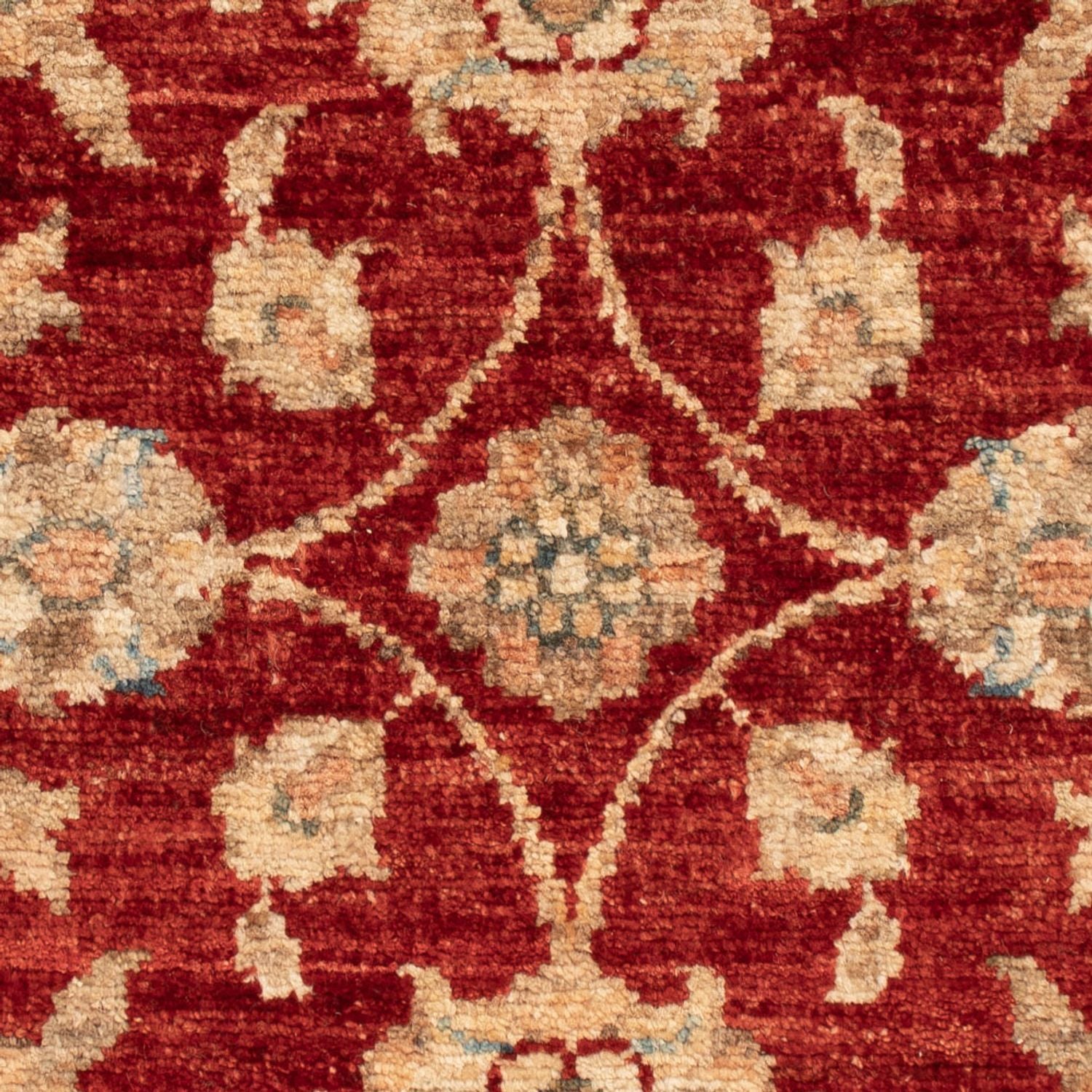Tappeto Ziegler - 65 x 50 cm - rosso