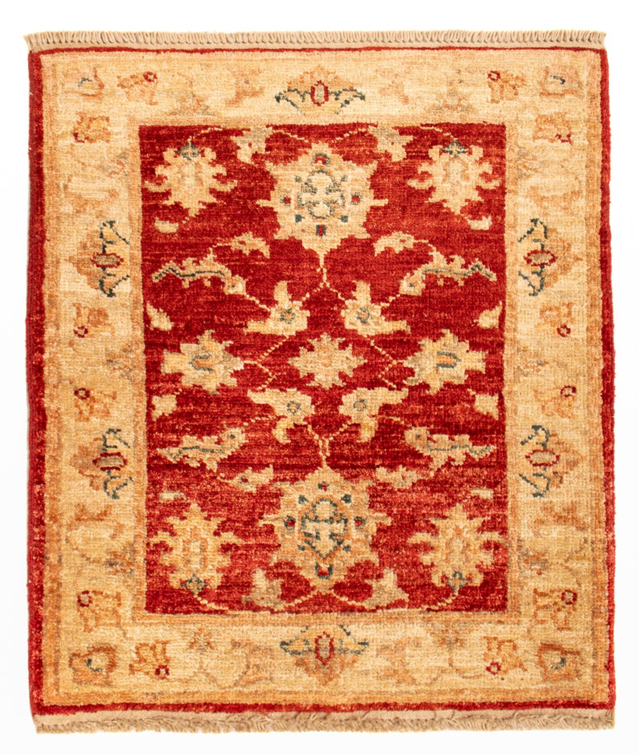 Tappeto Ziegler - 61 x 43 cm - rosso